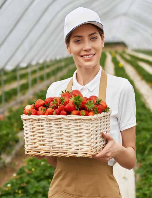 female-gardener-holding-wicker-basket-with-strawberries 1